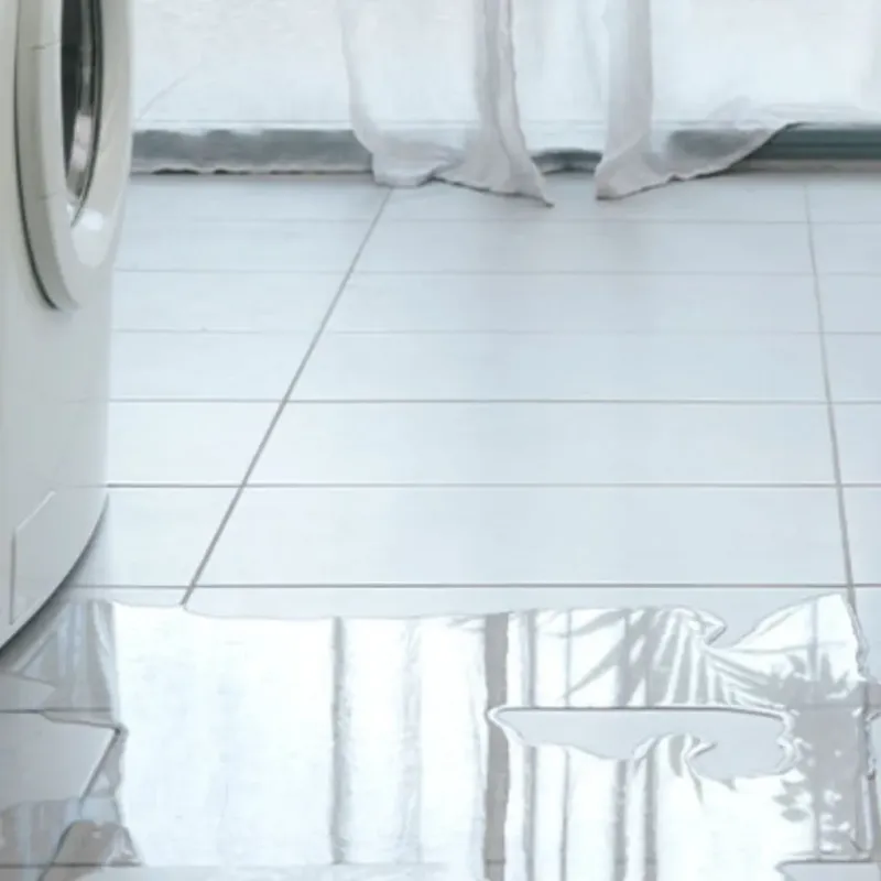 Appliance Leak Cleanup in Marion County, IL