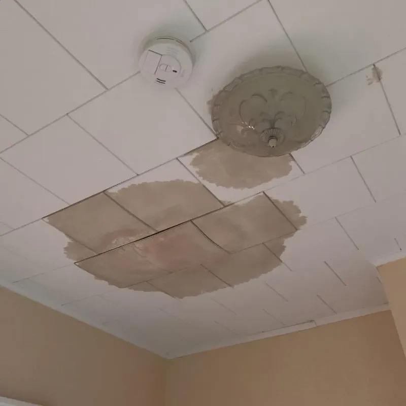 Ceiling Water Damage Repair in Marion County, IL