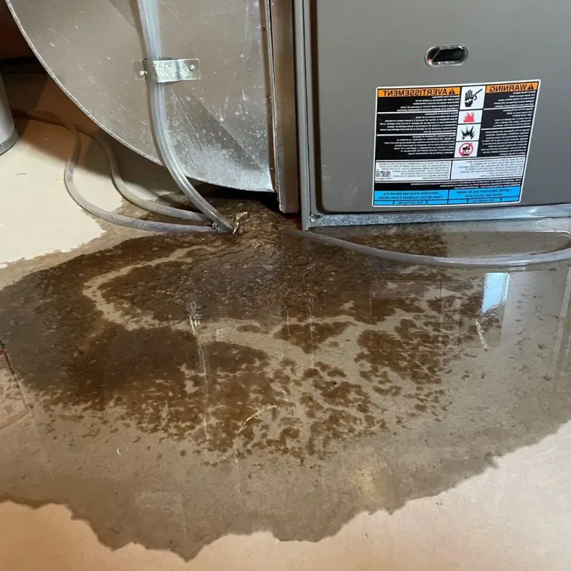Pipe Burst and Leak Restoration in Marion County, IL