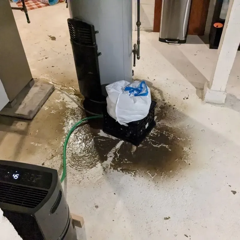 Sewage Backup Cleanup Service in Marion County, IL
